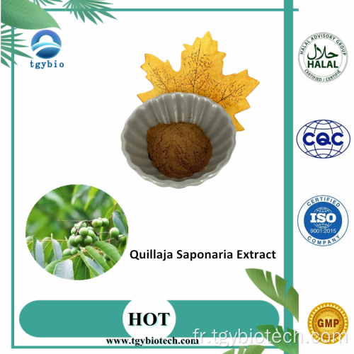 Extrait de quillaja biologique / Poudre d&#39;extrait de quillaja saponaria